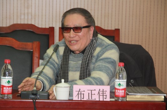 中房集团资深总建筑师布正伟发言