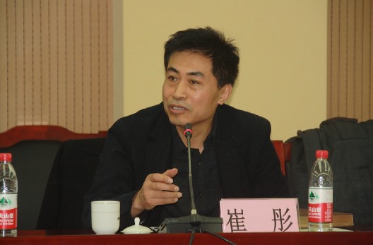 中科院建筑设计研究院副院长、总建筑师崔彤发言
