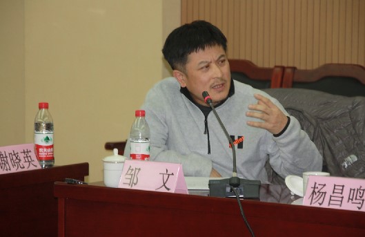 清华大学美术学院教授邹文发言