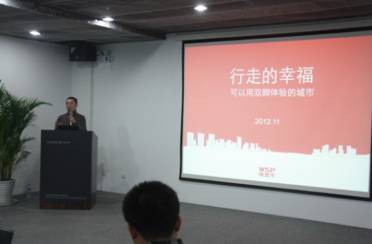 维思平代表案例分享